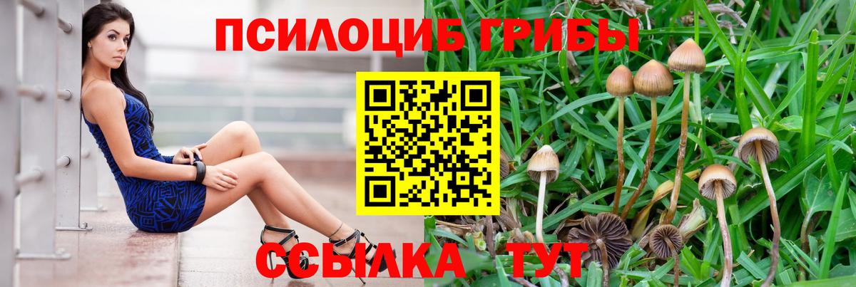 Галлюциногенные грибы прущие грибы  Галлюциногенные грибы мицелий  Качканар  Вход с VPN 